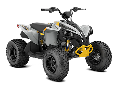 RENEGADE 110 EFI